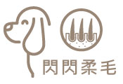 膠原蛋白 膠原蛋白