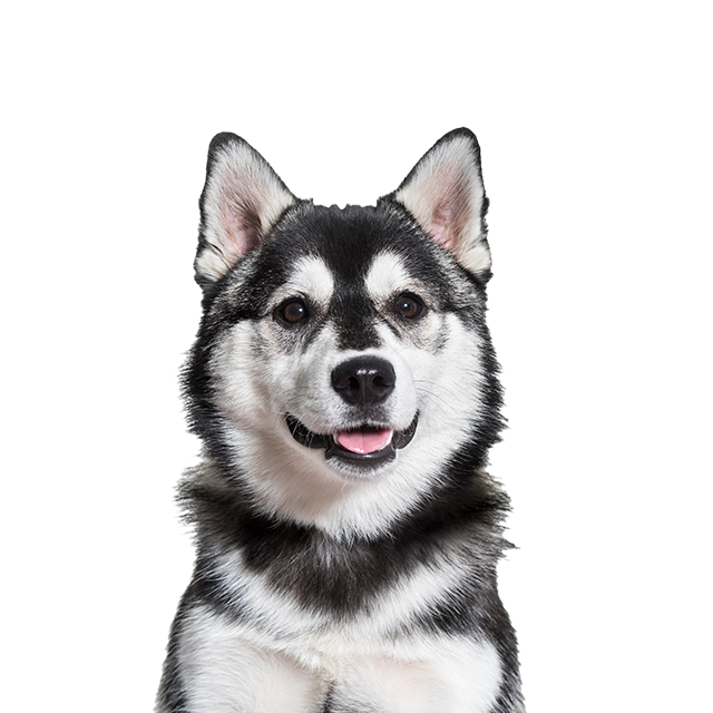 好好吸收-產品網編 好好吸收-產品網編